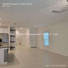 18010 Blissful Stars Dr in Lutz, FL - Building Photo - Building Photo