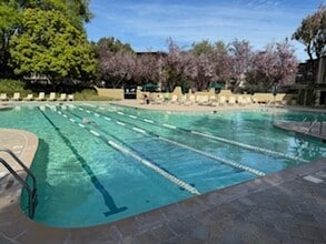 802 N Delaware St, Unit Apt 212 in San Mateo, CA - Building Photo - Building Photo