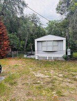11776 E Cardinal Pl in Floral City, FL - Building Photo