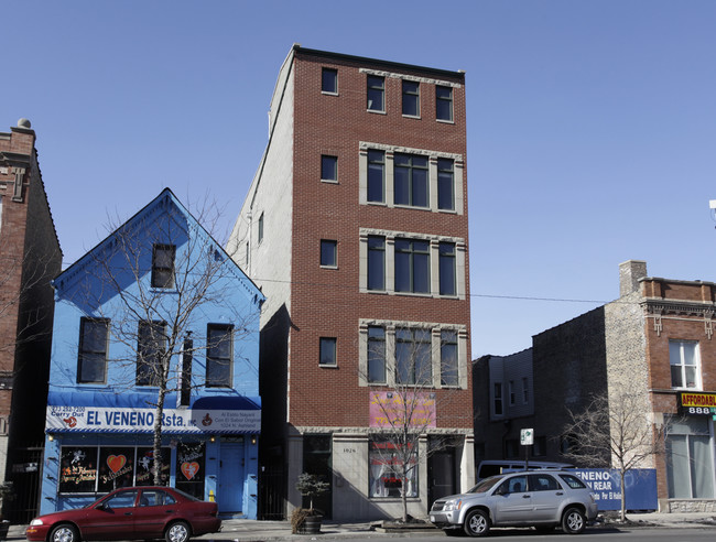 1026 N Ashland Ave in Chicago, IL - Building Photo - Building Photo