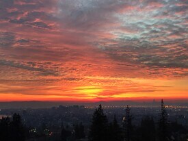 9 Alta Ave in Piedmont, CA - Building Photo