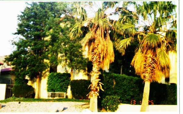 10592 Sunset Ave in Desert Hot Springs, CA - Foto de edificio - Building Photo