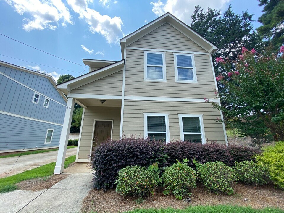 230 Strickland Ave in Athens, GA - Building Photo