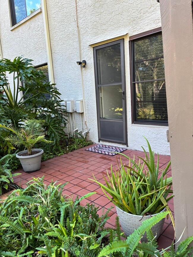 3038 Eastland Blvd, Unit Imperial oaks condominium in Clearwater, FL - Building Photo - Building Photo
