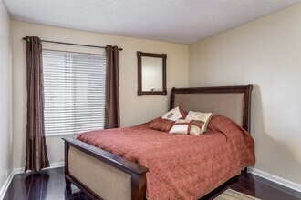 1885 Diamond St in San Diego, CA - Building Photo - Building Photo