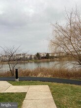 20590 Cornstalk Terrace in Ashburn, VA - Building Photo - Building Photo