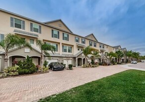 810 Callista Cay Loop in Tarpon Springs, FL - Building Photo