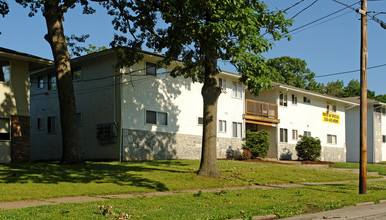 830 Ohio Ave in Youngstown, OH - Building Photo - Building Photo