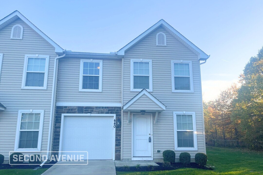 440 Station 44 Pl in Painesville, OH - Building Photo