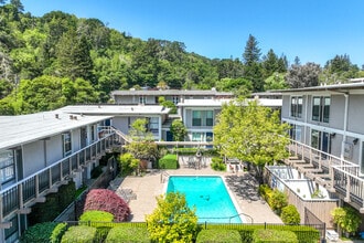 Moraga Manor in Moraga, CA - Building Photo - Building Photo