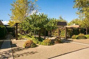 533 Valencia Dr SE in Albuquerque, NM - Building Photo