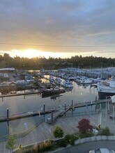 The Madrone in Olympia, WA - Building Photo - Building Photo