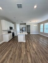 14311 Braemar St in Winter Garden, FL - Building Photo - Building Photo