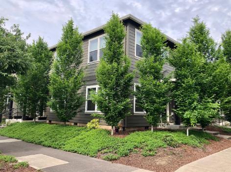 7033 N Charleston Ave in Portland, OR - Building Photo