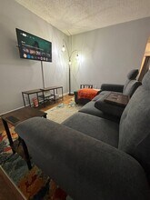 250 Elm St, Unit 504 in Clemson, SC - Building Photo - Building Photo