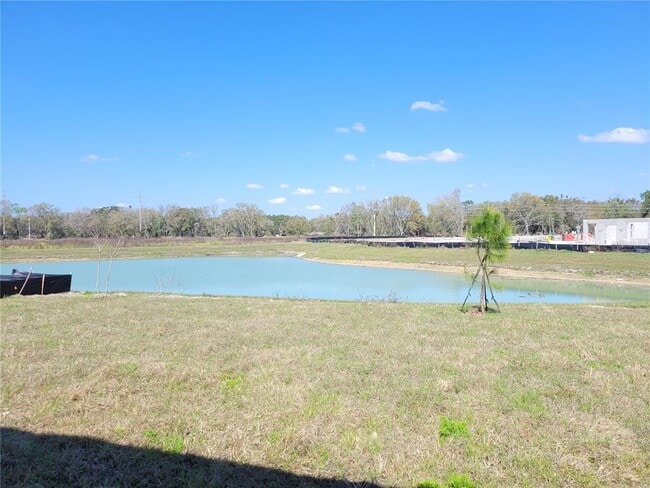 30959 Penny Surf Lp in Wesley Chapel, FL - Building Photo - Building Photo