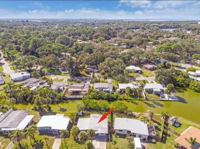 7313 Royal Palm Dr in New Port Richey, FL - Building Photo - Building Photo