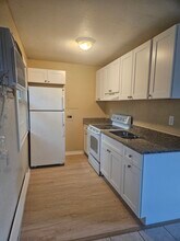1027 19th Ave S in St. Petersburg, FL - Building Photo - Building Photo