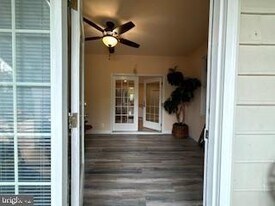 43176 Tall Pines Ct in Ashburn, VA - Building Photo