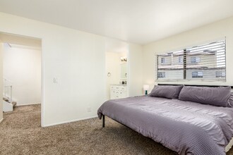 7321 Alicante Rd, Unit A in Carlsbad, CA - Building Photo - Building Photo