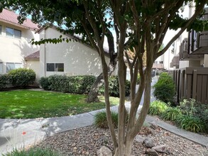 3701 Colonial Dr in Modesto, CA - Building Photo - Building Photo