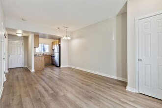 309 Buffalo Dr in Windsor, CO - Building Photo - Building Photo