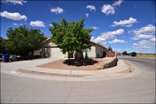 14325 Island Point Dr in El Paso, TX - Building Photo
