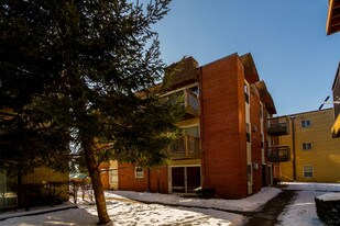 788 Piper Ln in Prospect Heights, IL - Building Photo