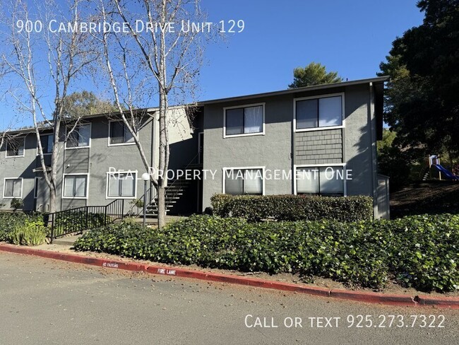 900 Cambridge Dr in Benicia, CA - Foto de edificio - Building Photo