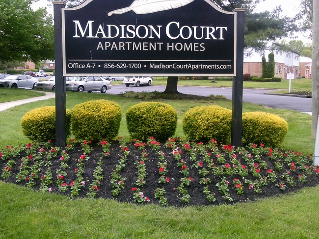 Madison Court Apartments in Williamstown, NJ - Building Photo - Building Photo