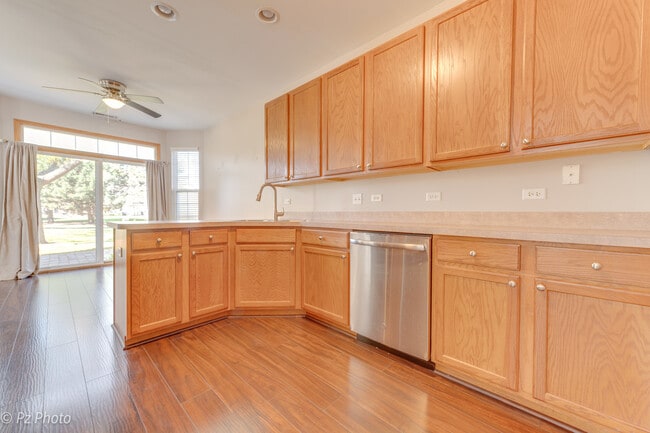 24343 Leski Ln in Plainfield, IL - Building Photo - Building Photo