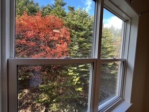 91 Larkhall St in St John's, NL - Building Photo - Building Photo