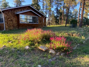 301 La Luz Ln in Ruidoso, NM - Building Photo - Building Photo