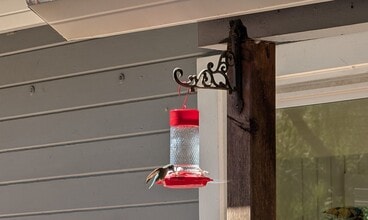 460 Condor Ave in Ben Lomond, CA - Building Photo - Building Photo