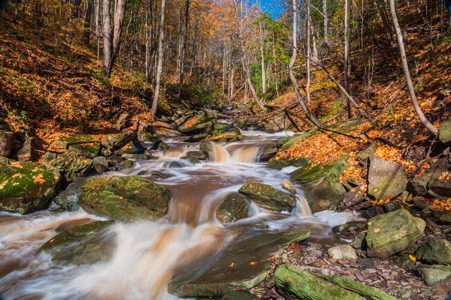 The Grindstone in Waterdown, ON - Building Photo - Building Photo