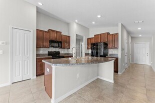 10208 Carloway Hills Dr in Wimauma, FL - Building Photo