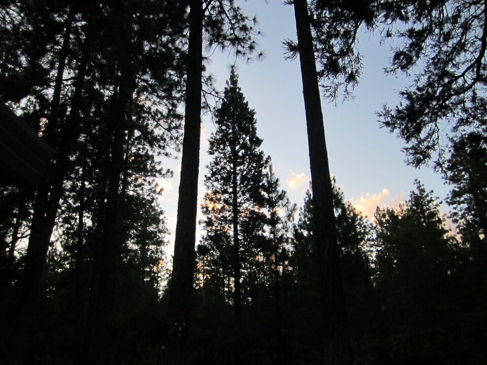 15610 Nopel Ave in Forest Ranch, CA - Building Photo