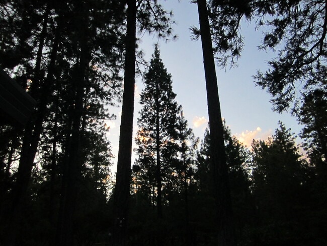 property at 15610 Nopel Ave