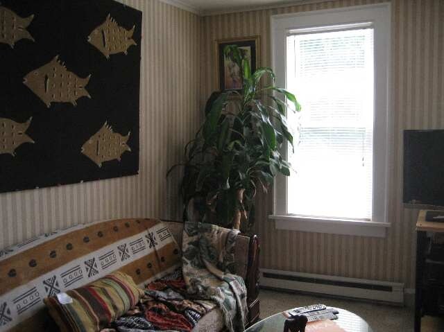 17 Western Ave in Albany, NY - Building Photo - Other
