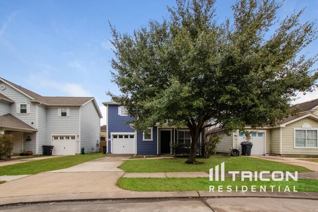 10011 Victoria Grove Ln in Houston, TX - Building Photo - Building Photo