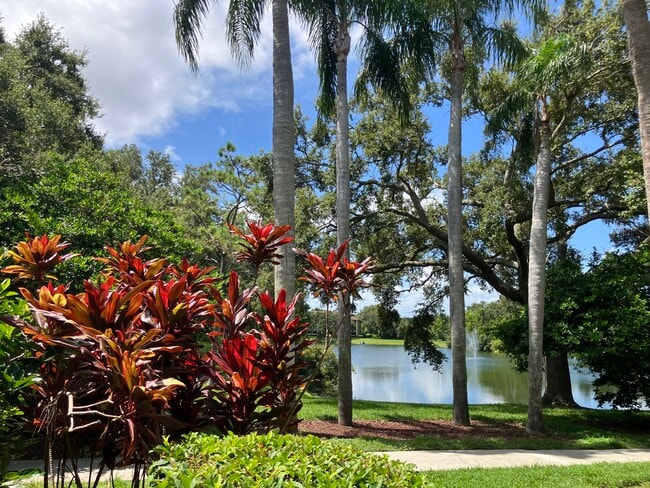 2690 Coral Landings Blvd, Unit #112 in Palm Harbor, FL - Building Photo - Building Photo