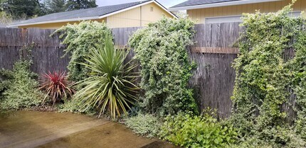 6237-6239 SE Fern Ave in Portland, OR - Building Photo - Building Photo