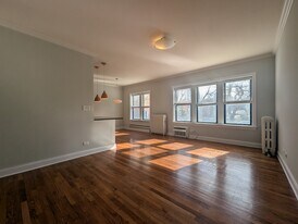 722 W Addison St, Unit S1 in Chicago, IL - Building Photo