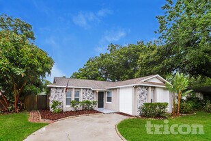 1005 Park St in Seffner, FL - Building Photo