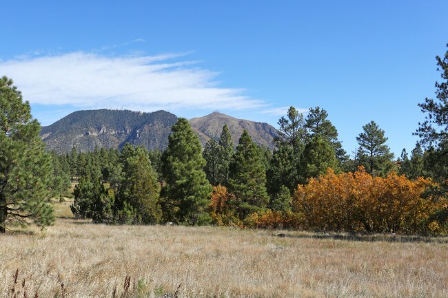 Ponderosa Park in Flagstaff, AZ - Foto de edificio - Other