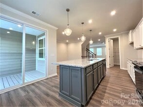 16628 Summers Walk Blvd in Davidson, NC - Building Photo - Building Photo