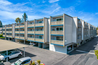 Del Medio Manor in Mountain View, CA - Foto de edificio - Building Photo