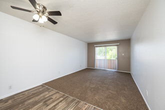 Nine-O-Nine Apartments in Albuquerque, NM - Building Photo - Interior Photo