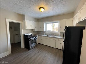866 Beardsley St in Akron, OH - Building Photo