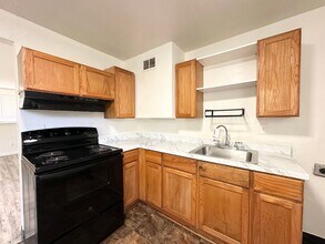 3517-3519 Columbine St in Denver, CO - Building Photo - Building Photo